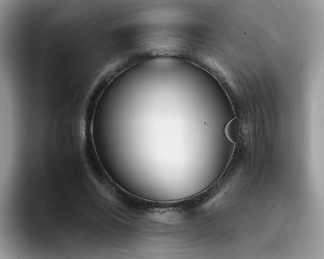 X0000094950686200711291414