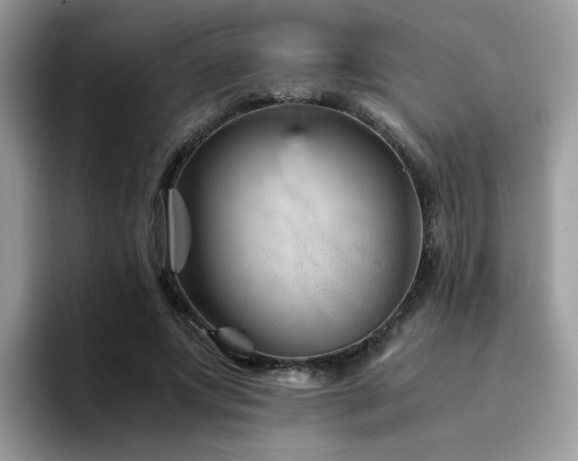 X0000094950687200711291414
