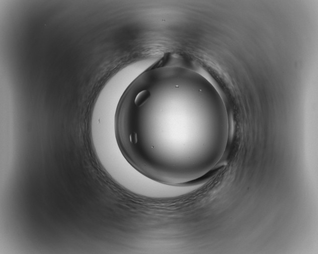 X0000094950689200711291414