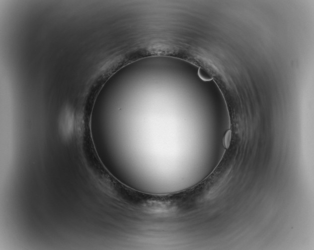 X0000094950690200711291414