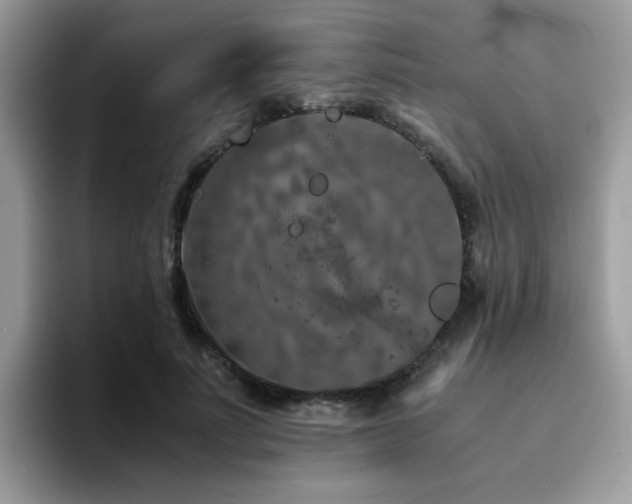 X0000094950691200711291414
