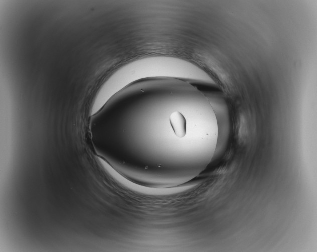 X0000094950692200711291414