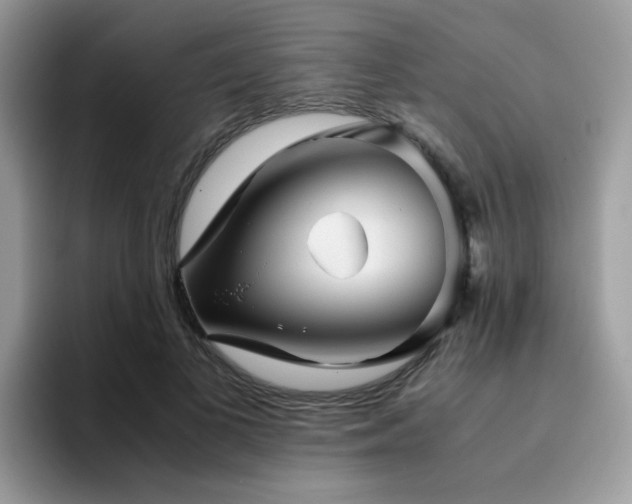 X0000094950693200711291414
