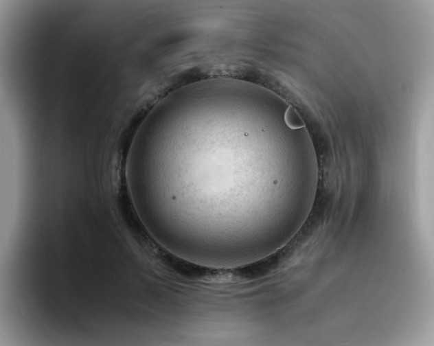 X0000094950695200711291414