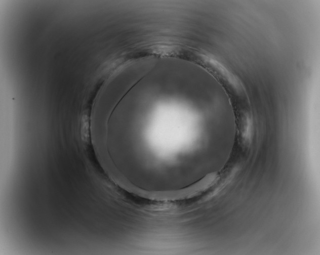 X0000094950696200711291414