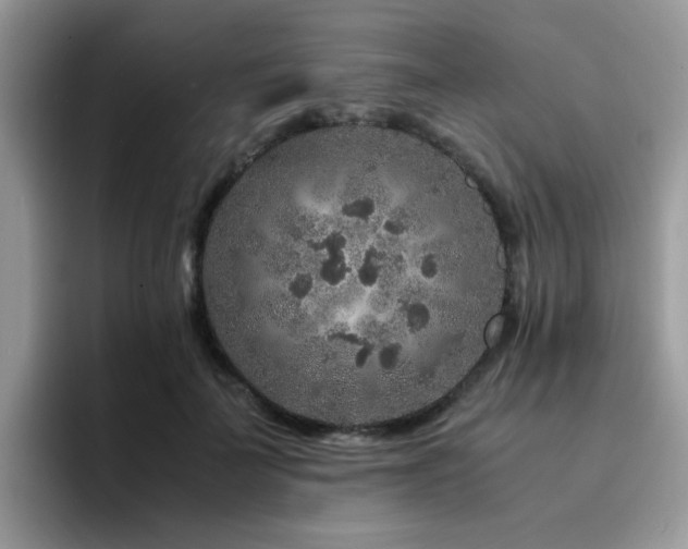 X0000094950699200711291413