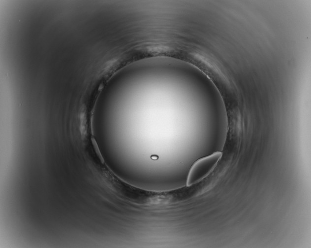 X0000094950700200711291413