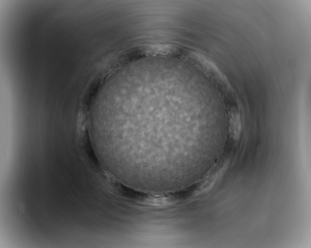 X0000094950701200711291413