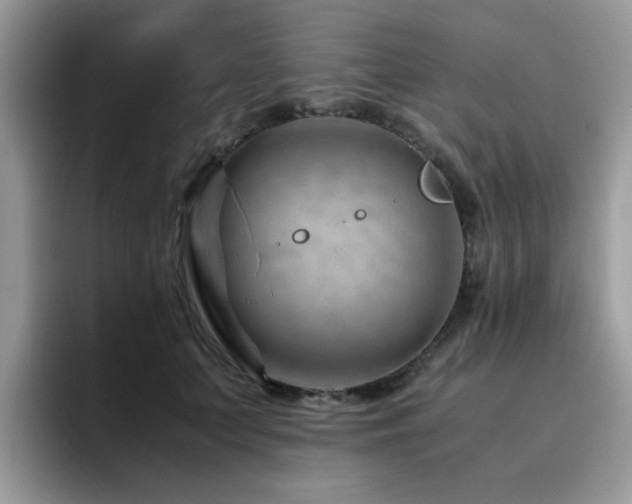 X0000094950703200711291413