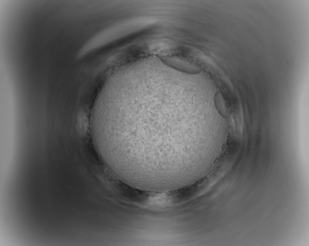 X0000094950705200711291413