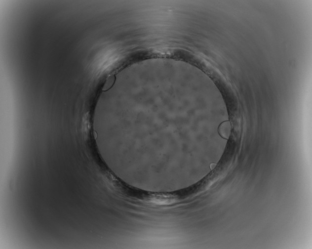 X0000094950707200711291413