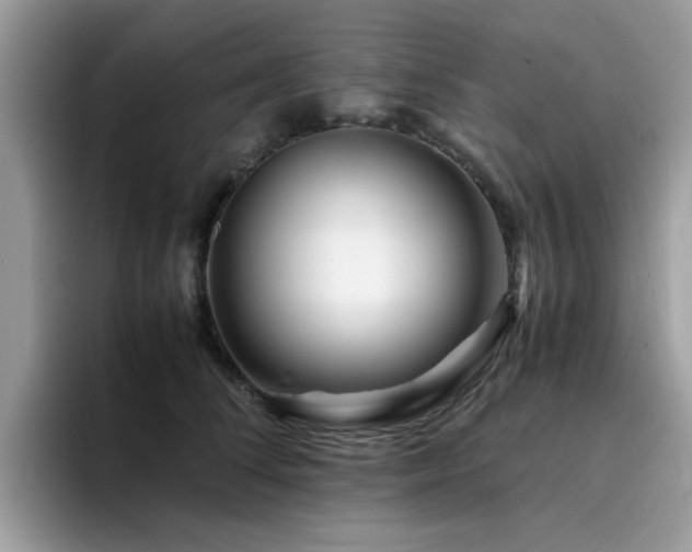 X0000094950708200711291413