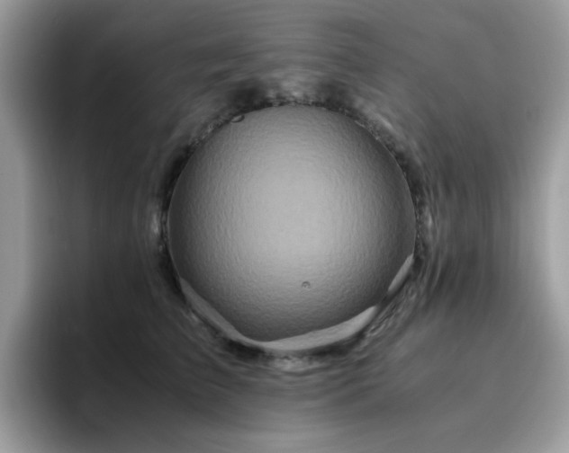 X0000094950709200711291413