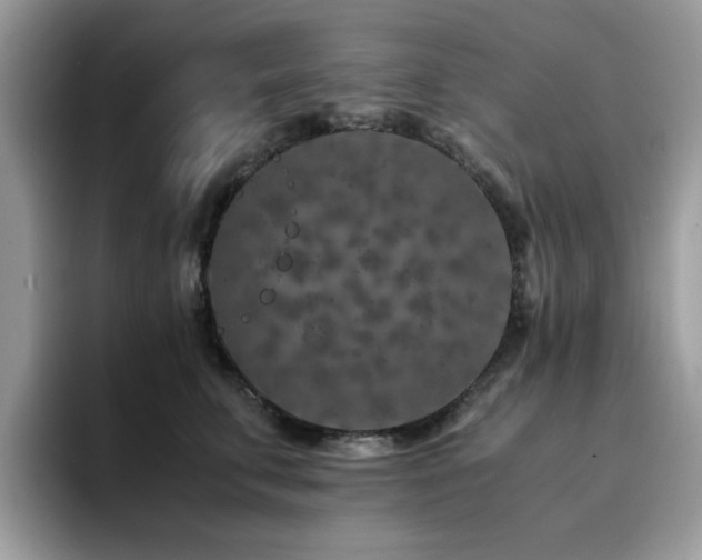X0000094950711200711291413