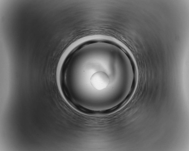 X0000094950713200711291413
