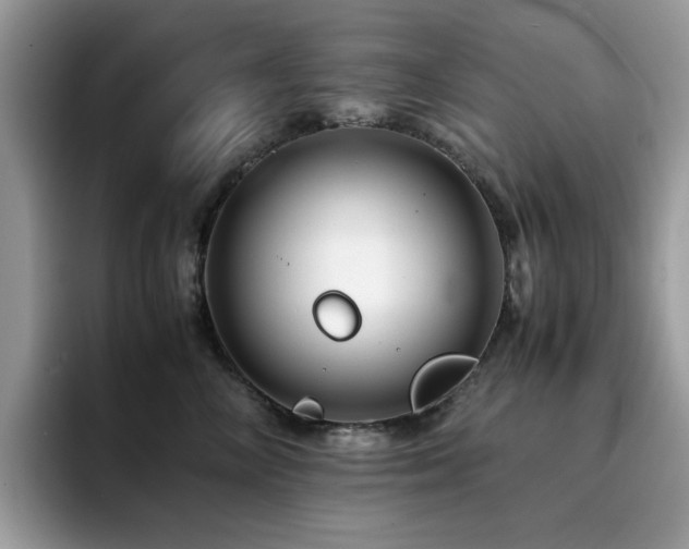 X0000094950714200711291413