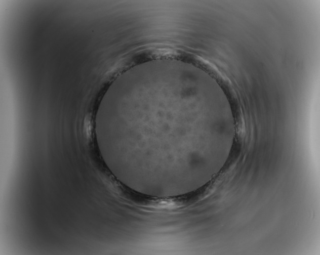 X0000094950715200711291413
