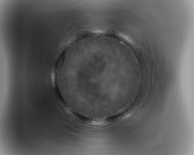 X0000094950720200711291413