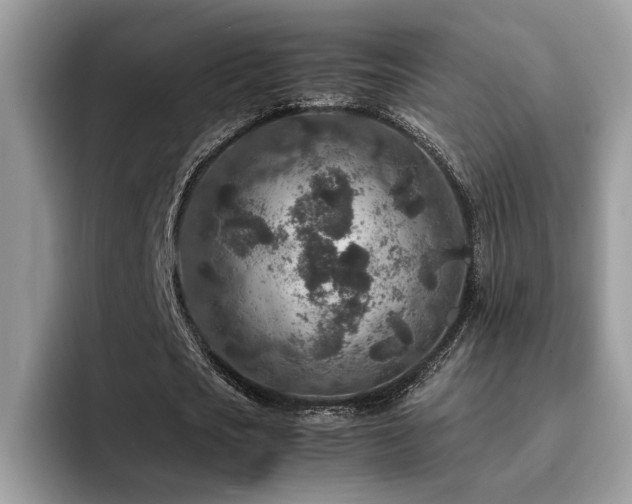 X0000094950721200711291413