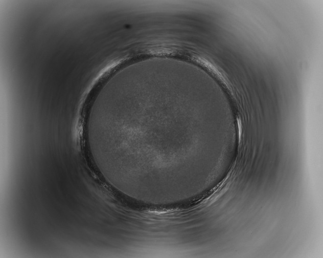 X0000094950723200711291413