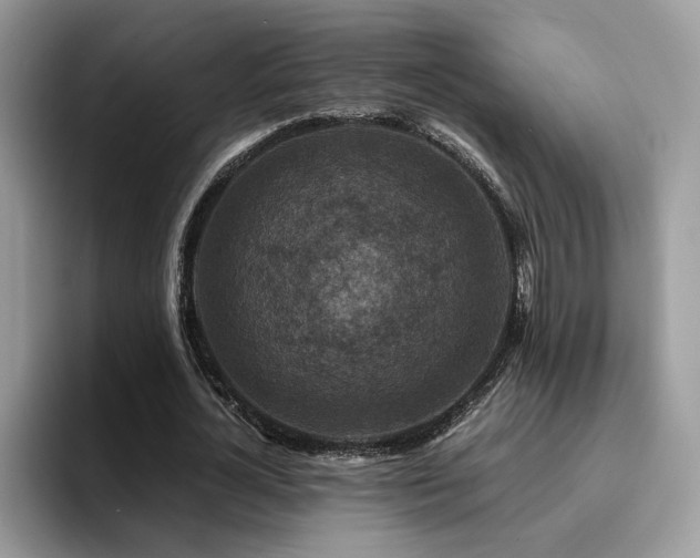 X0000094950724200711291413