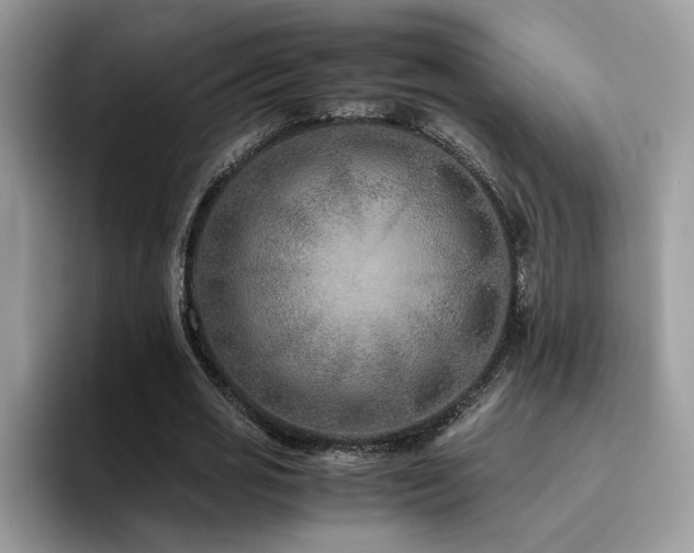 X0000094950725200711291413