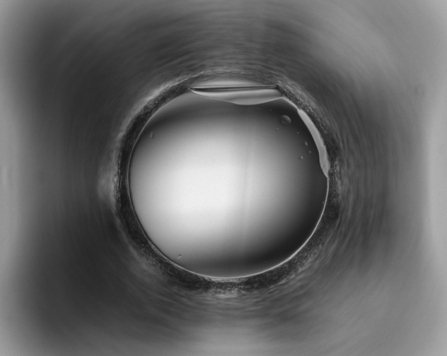 X0000094950728200711291413