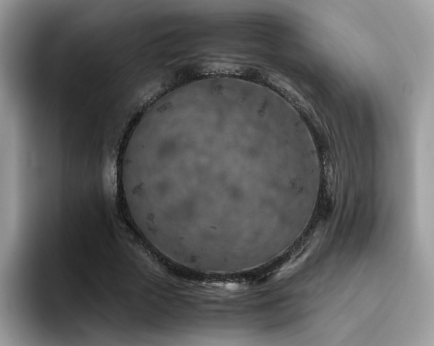 X0000094950729200711291413