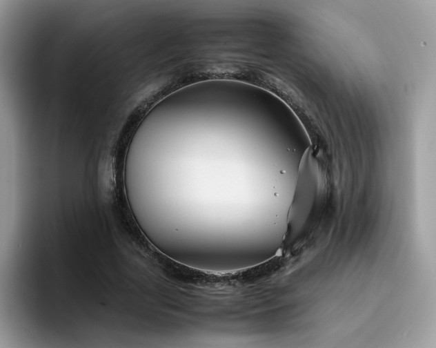 X0000094950731200711291413