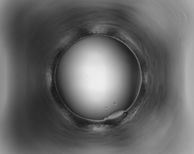 X0000094950733200711291413