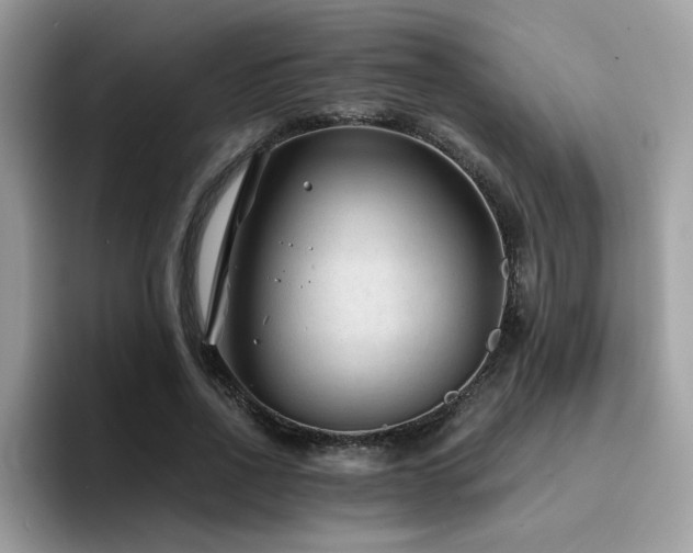 X0000094950734200711291413