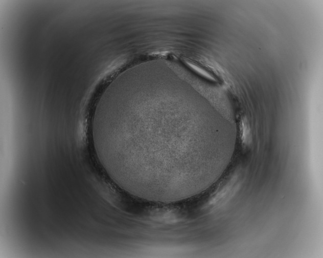 X0000094950735200711291413