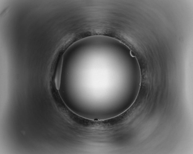 X0000094950738200711291413