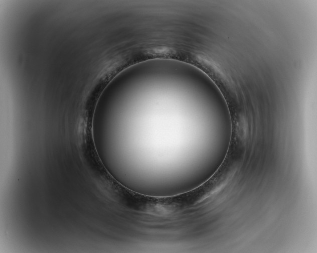 X0000094950739200711291413