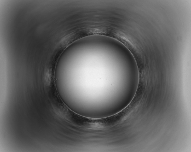 X0000094950741200711291413