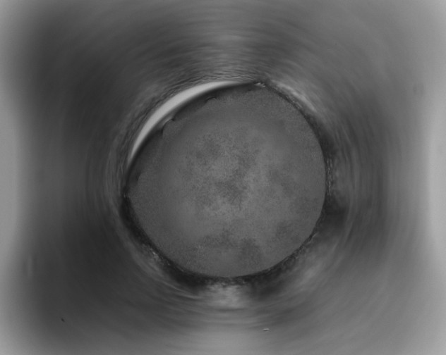 X0000094950742200711291413