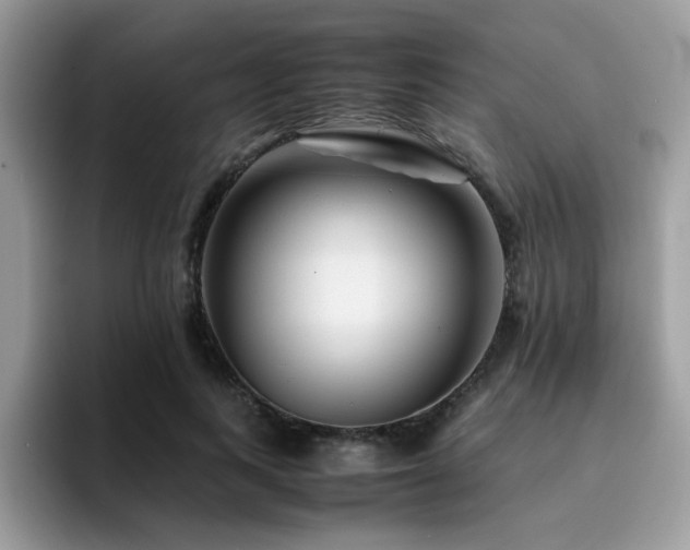 X0000094950743200711291413