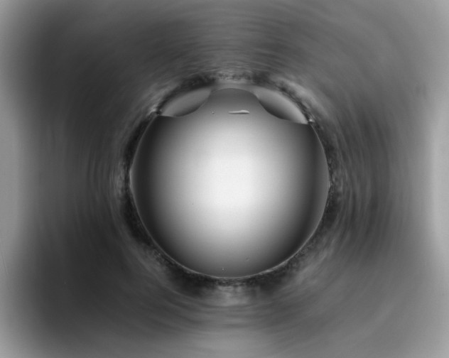 X0000094950744200711291413