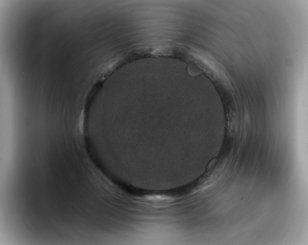 X0000094950748200711291413