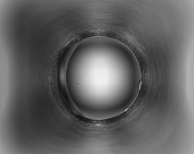 X0000094950750200711291413