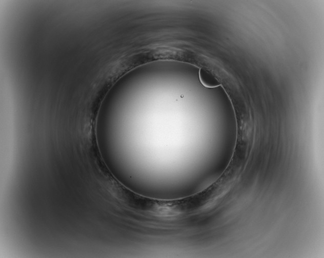 X0000094950753200711291413