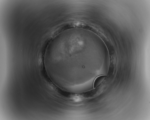 X0000094950754200711291413