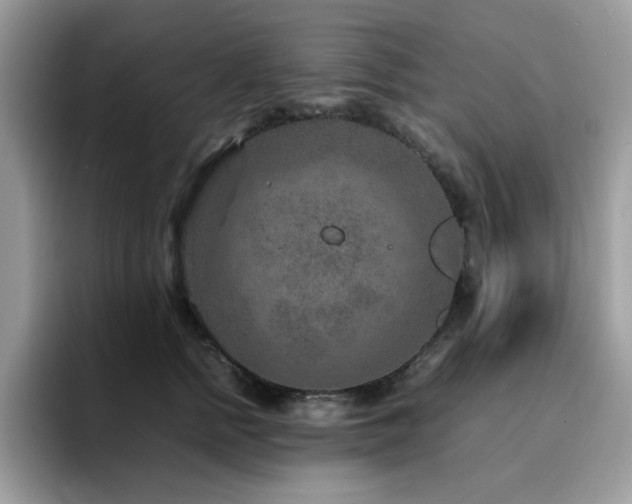 X0000094950758200711291413