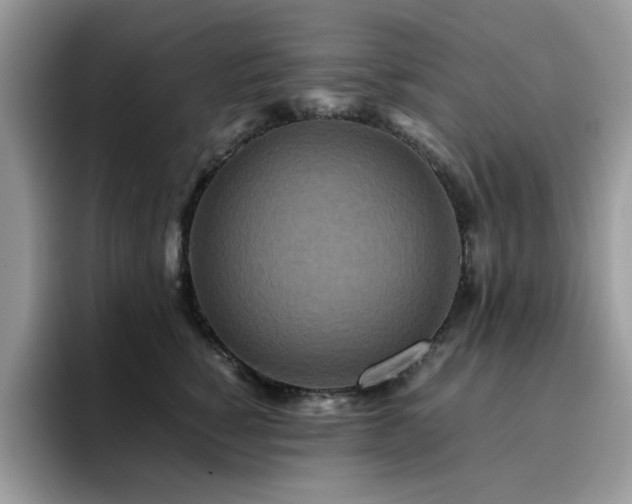 X0000094950760200711291413