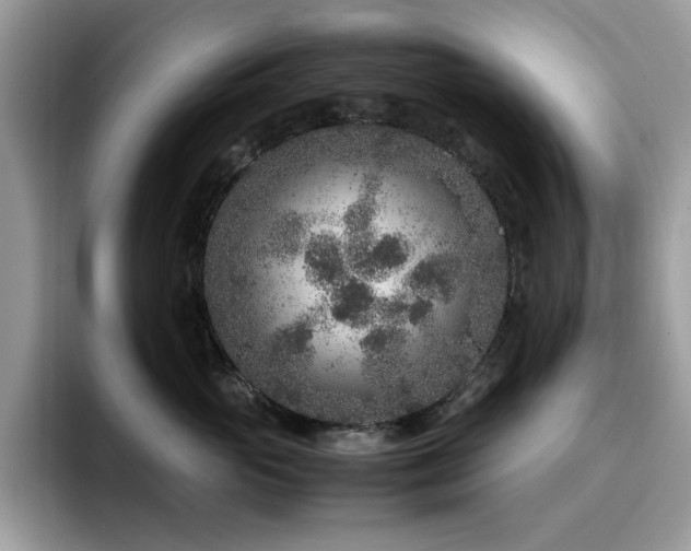 X0000094950765200711291413