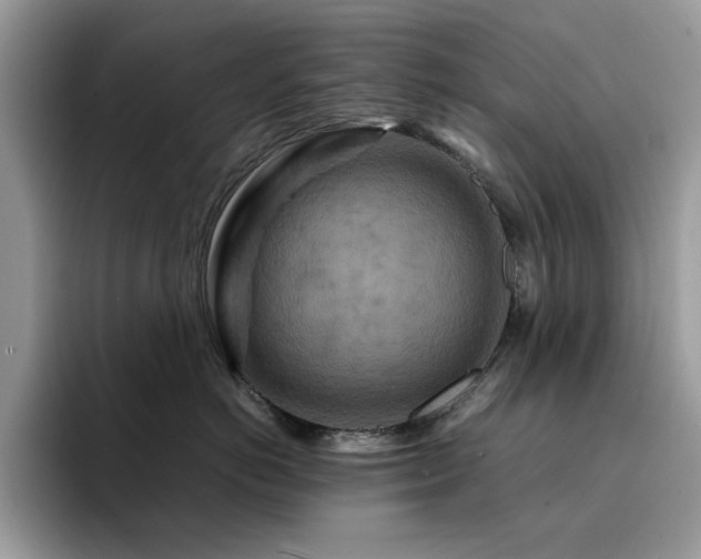X0000094950766200711291413