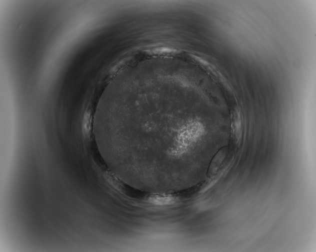 X0000094950767200711291413