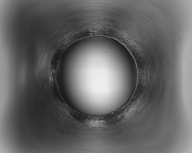 X0000094950770200711291413