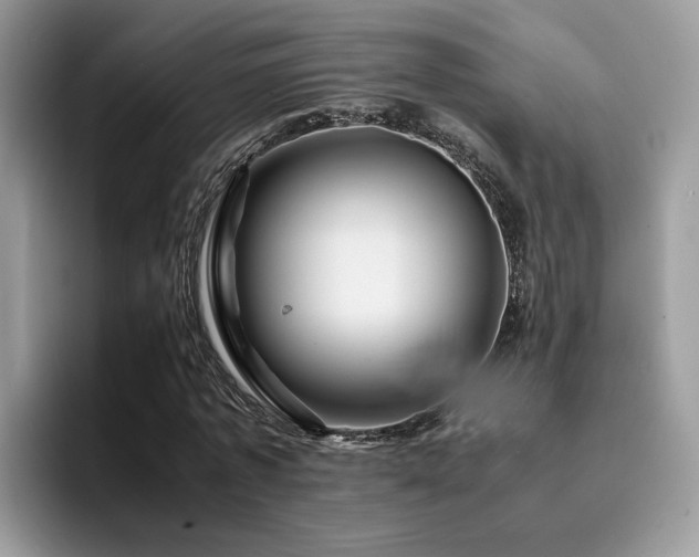 X0000094950773200711291413