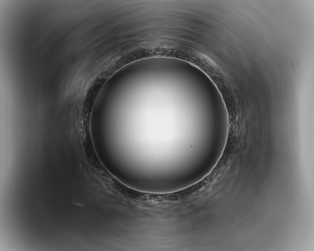 X0000094950774200711291413